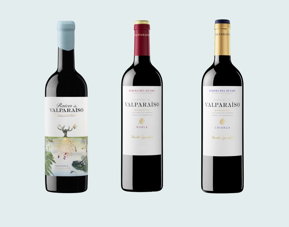 Vinos bodegas valparaiso