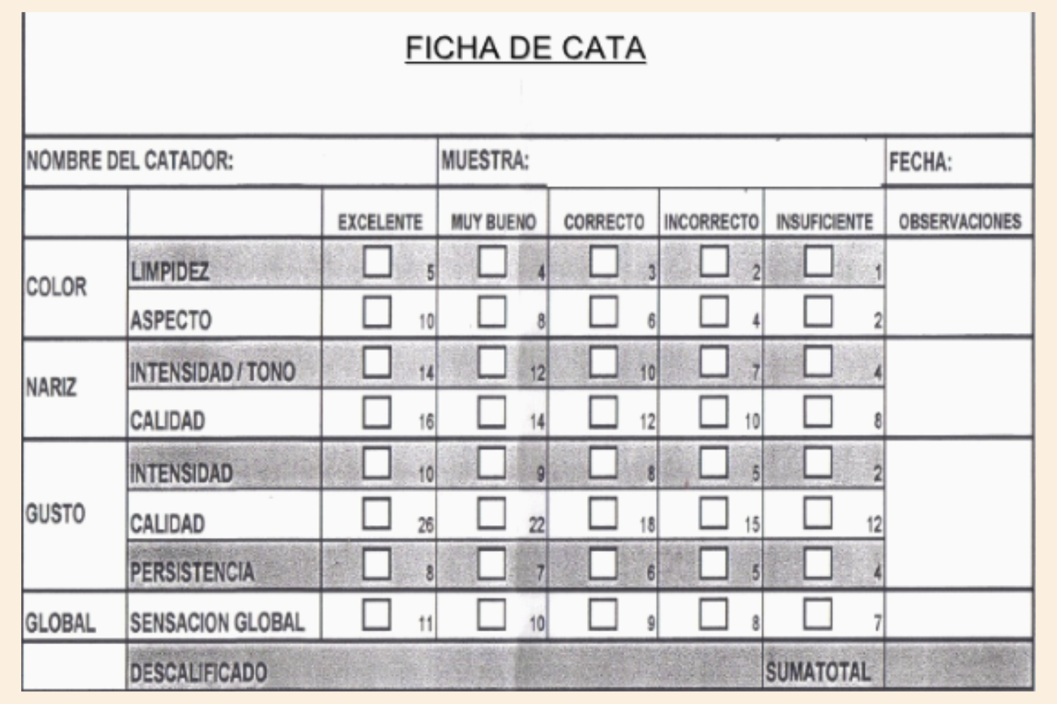 Ficha de cata