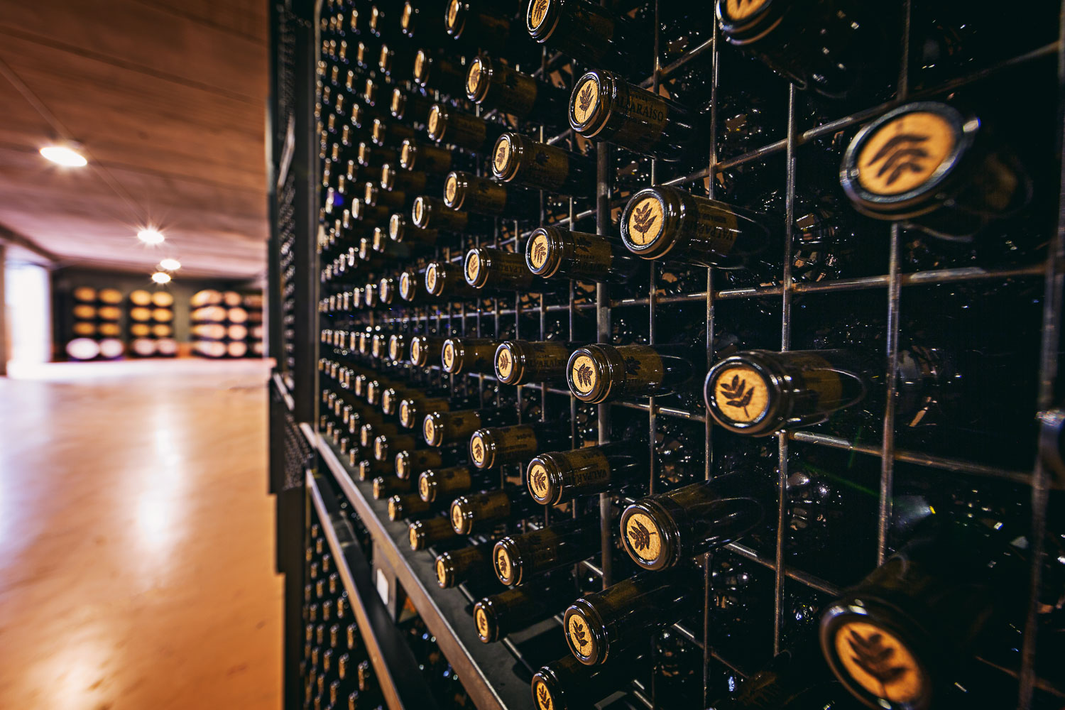 La suma importancia del corcho en la conservación de los vinos